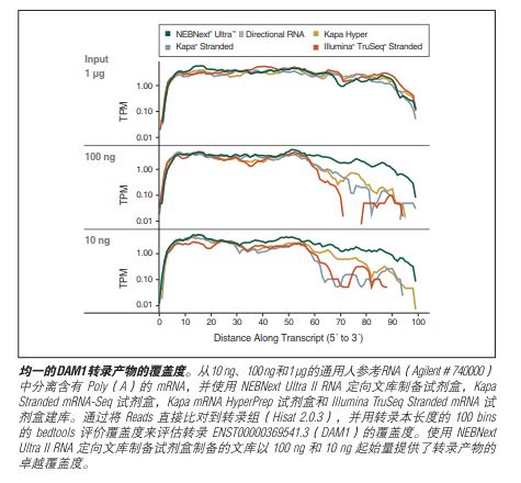 NEBNext Ultra II RNA 定向文库制备试剂盒 - 含纯化磁珠            货   号                  #E7765L