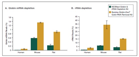 NEBNext Globin & rRNA 去除试剂盒(人/小鼠/大鼠)- 含 RNA 纯化磁珠 货 号 #E7755L