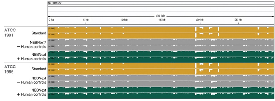 NEBNext®ARTIC SARS-CoV-2 FS 文库制备试剂盒（适用于 Illumina 平台）            货   号                  #E7658L