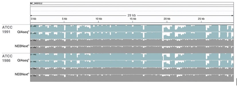 NEBNext®ARTIC SARS-CoV-2 FS 文库制备试剂盒（适用于 Illumina 平台）            货   号                  #E7658L