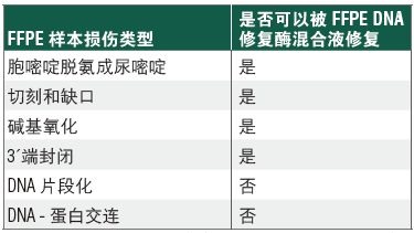 NEBNext®FFPE DNA 修复模块 v2 货 号 #E7360L