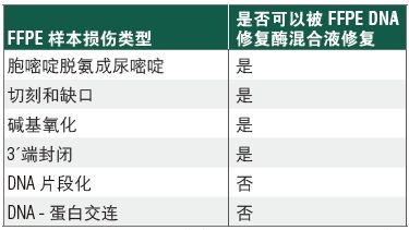 NEBNext®FFPE DNA 修复模块 v2            货   号                  #E7360L