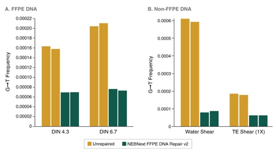 NEBNext®FFPE DNA 修复模块 v2 货 号 #E7360L