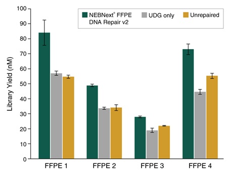 NEBNext®FFPE DNA 修复模块 v2 货 号 #E7360L