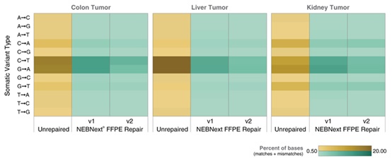 NEBNext®FFPE DNA 修复模块 v2 货 号 #E7360L