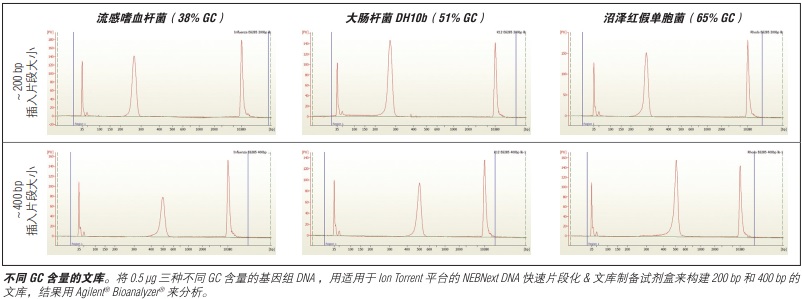 NEBNext DNA 快速文库制备试剂盒 - Ion Torrent            货   号                  #E6270L