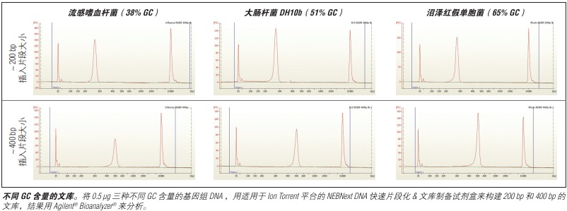 NEBNext DNA 快速文库制备试剂盒 - Ion Torrent            货   号                  #E6270L