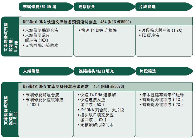 NEBNext DNA 文库制备预混液试剂盒 - 454(停产)            货   号                  #E6070L