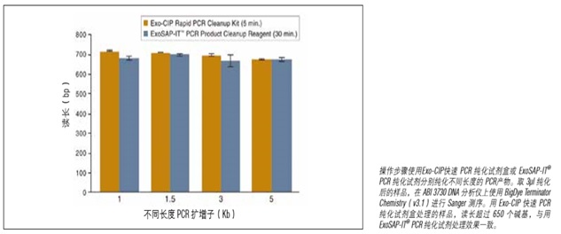 Exo-CIP™ 快速 PCR 纯化试剂盒            货   号                  #E1050L