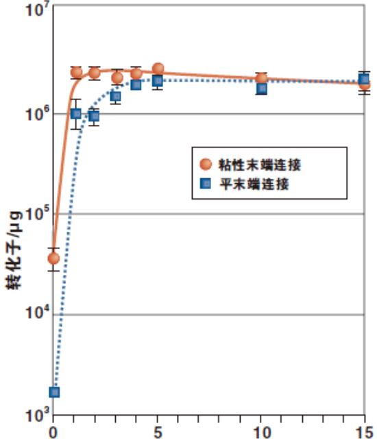 Quick Ligation™ 快速连接试剂盒               货   号                  #M2200L