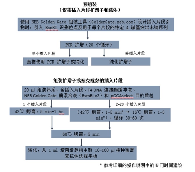 NEB® Golden Gate 组装试剂盒(BsmBI-v2) 货 号 #E1602L
