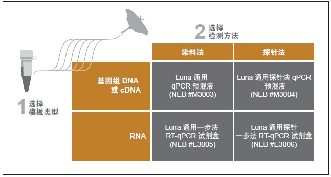 Luna® 通用探针法 qPCR 预混液                 货   号                  #M3004E