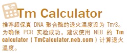 Phusion® 超保真 PCR 预混液（提供 GC 缓冲液）                 货   号                  #M0532L