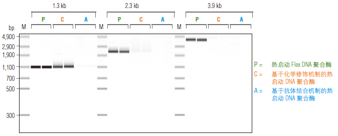 Phusion® 超保真 PCR 预混液（提供 HF 缓冲液）                 货   号                  #M0531L
