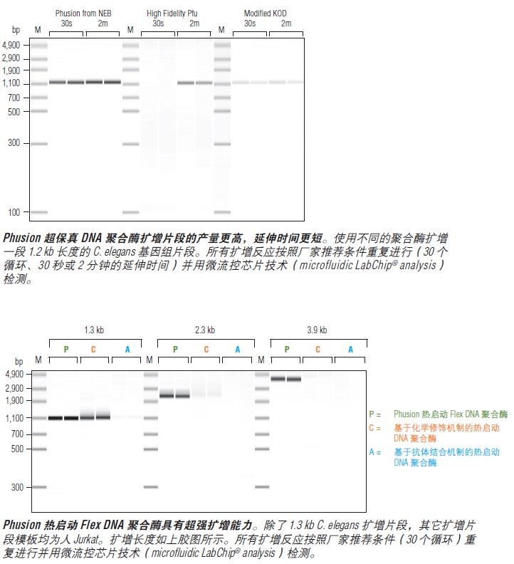 Phusion® 超保真 DNA 聚合酶                 货   号                  #M0530L