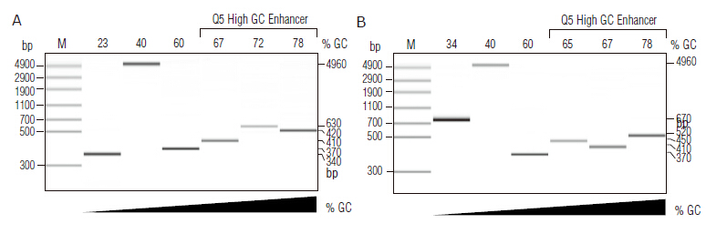 Q5® 热启动超保真 2X 预混液                   货   号                  #M0494L