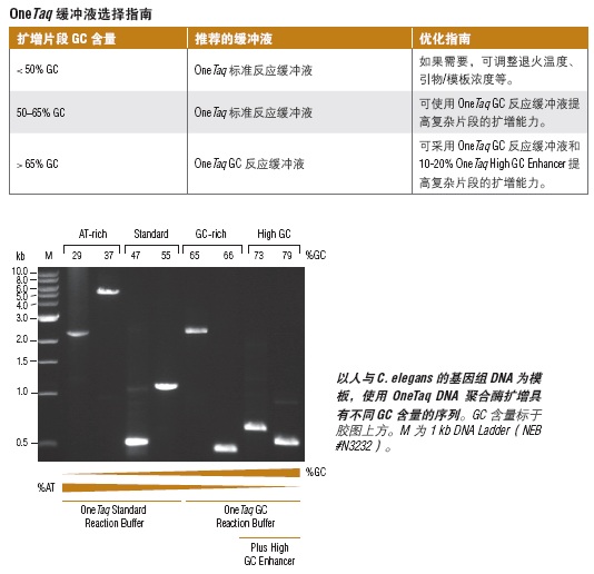 OneTaq® 热启动 Quick-Load® 2X 预混液（提供标准缓冲液）                  货   号                  #M0488L