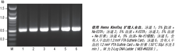 Hemo KlenTaq® 血源扩增 货 号 #M0332L