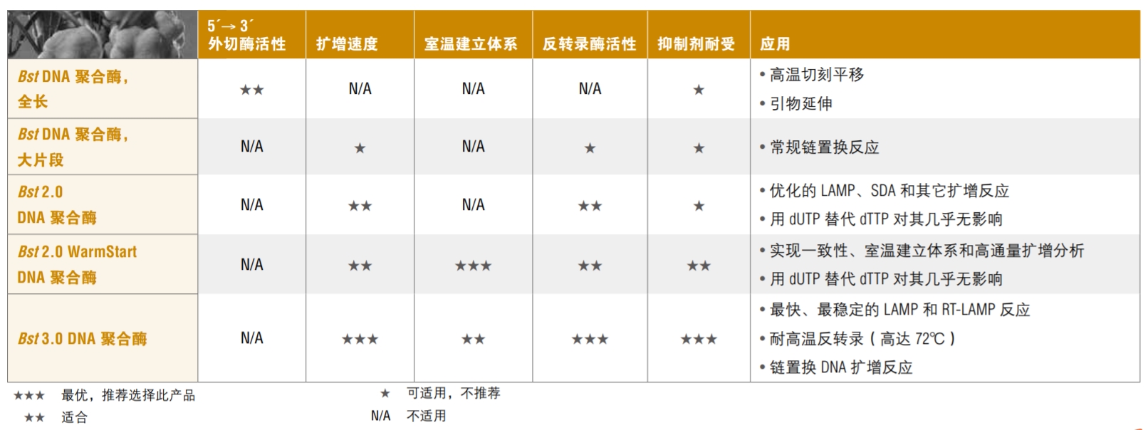 Bst DNA 聚合酶，大片段                 货   号                  #M0275L