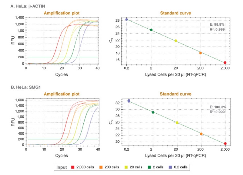 Luna® Cell Ready 一步法 RT-qPCR 试剂盒            货   号                  #E3030S