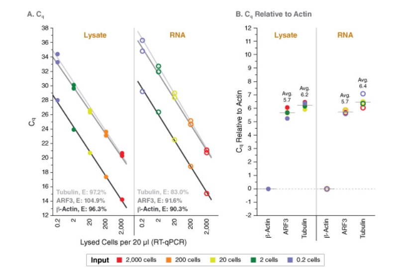 Luna® Cell Ready 一步法 RT-qPCR 试剂盒            货   号                  #E3030S