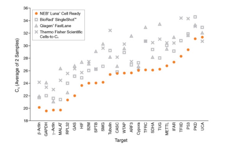 Luna® Cell Ready 一步法 RT-qPCR 试剂盒            货   号                  #E3030S