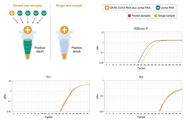 Luna® SARS-CoV-2 多重 RT-qPCR 检测试剂盒            货   号                  #E3019L