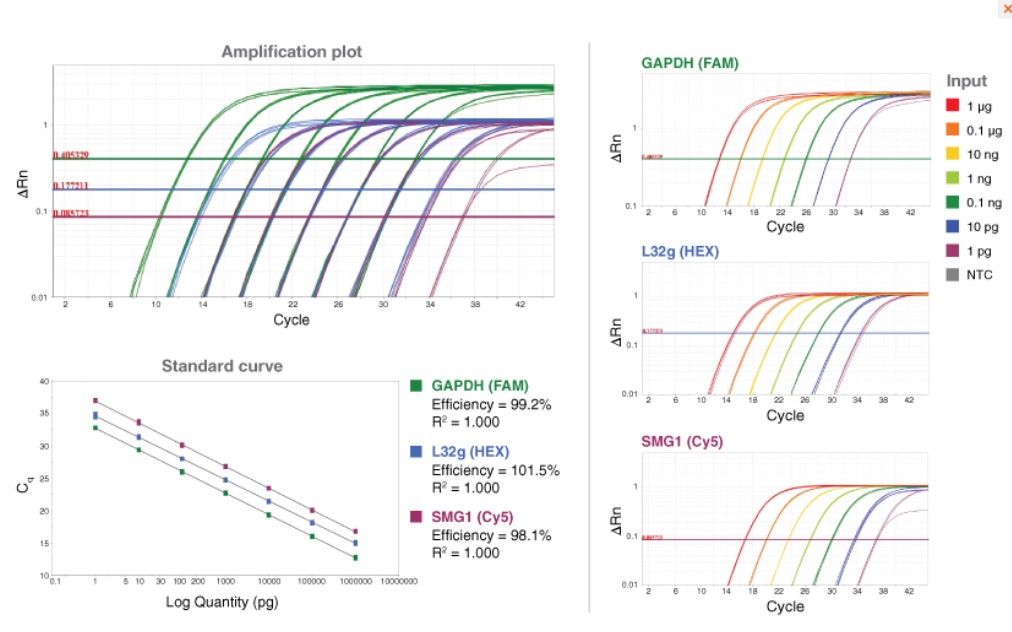 Luna® 探针一步法 RT-qPCR 试剂盒(无 ROX) 货 号 #E3007E