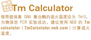 Q5® 超保真 PCR 试剂盒                  货   号                  #E0555L