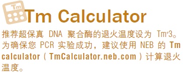 Q5® 超保真 PCR 试剂盒                  货   号                  #E0555L