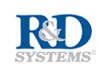 R&D SYSTEMS 产品目录列表 2022年  有少量现货 价格优惠